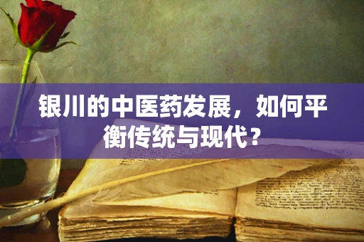 银川的中医药发展，如何平衡传统与现代？