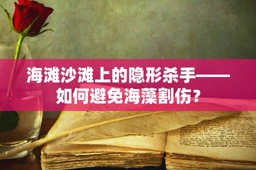海滩沙滩上的隐形杀手——如何避免海藻割伤？