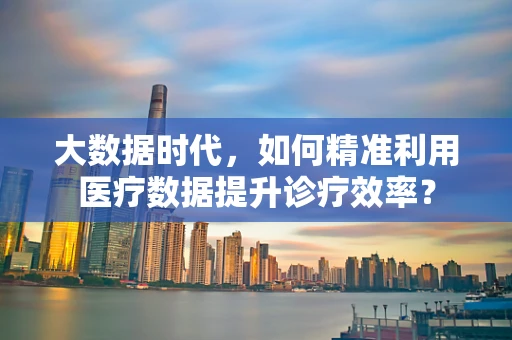 大数据时代，如何精准利用医疗数据提升诊疗效率？