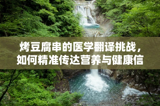 烤豆腐串的医学翻译挑战，如何精准传达营养与健康信息？