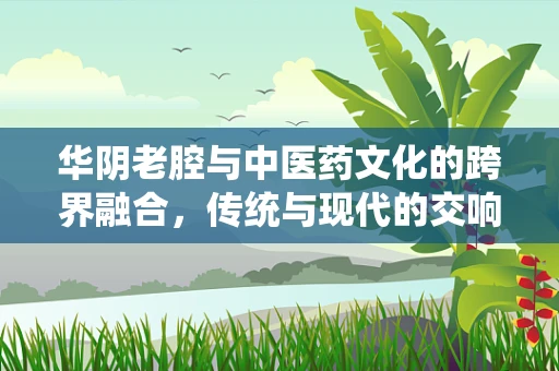 华阴老腔与中医药文化的跨界融合，传统与现代的交响