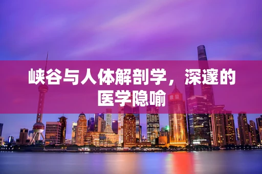 峡谷与人体解剖学，深邃的医学隐喻