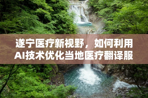 遂宁医疗新视野，如何利用AI技术优化当地医疗翻译服务？