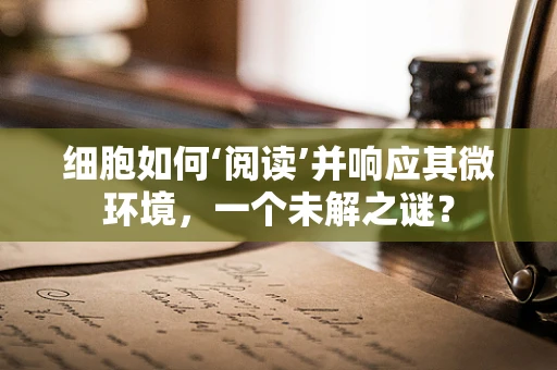 细胞如何‘阅读’并响应其微环境，一个未解之谜？