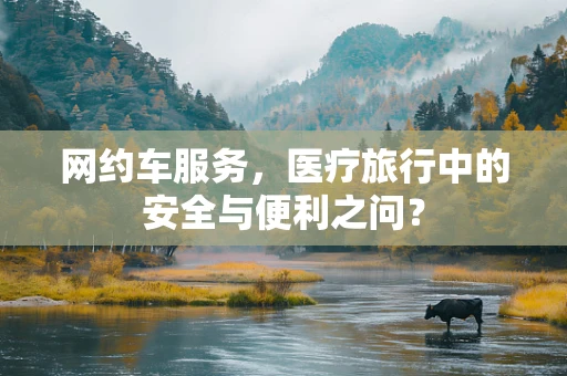 网约车服务，医疗旅行中的安全与便利之问？
