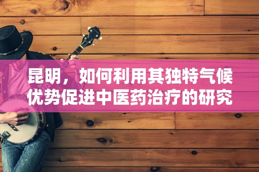 昆明，如何利用其独特气候优势促进中医药治疗的研究与推广？