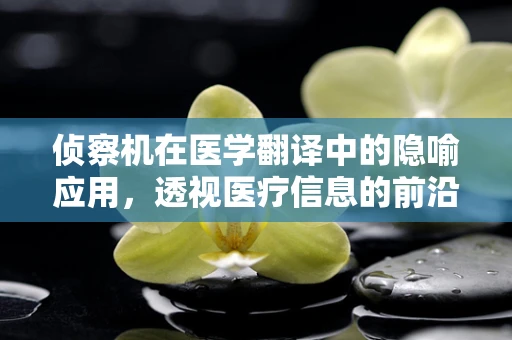 侦察机在医学翻译中的隐喻应用，透视医疗信息的前沿阵地