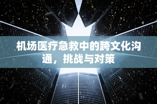 机场医疗急救中的跨文化沟通，挑战与对策