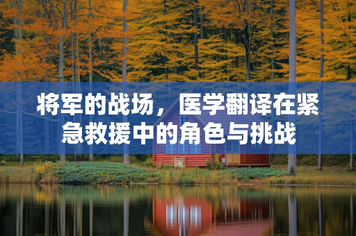 将军的战场，医学翻译在紧急救援中的角色与挑战