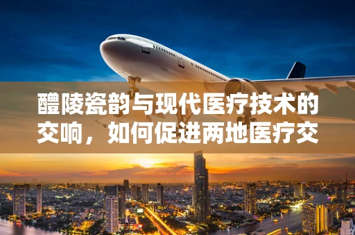 醴陵瓷韵与现代医疗技术的交响，如何促进两地医疗交流？