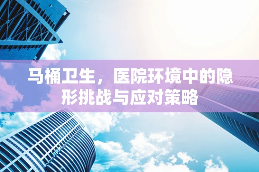 马桶卫生，医院环境中的隐形挑战与应对策略