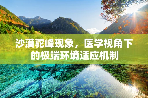沙漠驼峰现象，医学视角下的极端环境适应机制