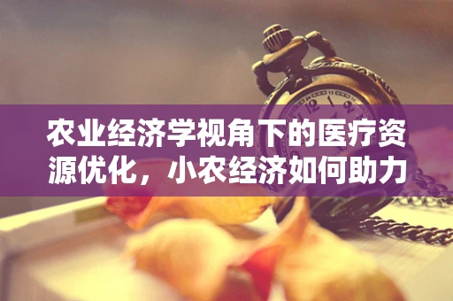 农业经济学视角下的医疗资源优化，小农经济如何助力医疗资源高效配置？