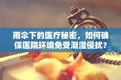雨伞下的医疗秘密，如何确保医院环境免受潮湿侵扰？