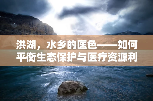 洪湖，水乡的医色——如何平衡生态保护与医疗资源利用？