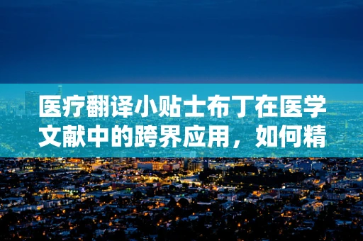 医疗翻译小贴士布丁在医学文献中的跨界应用，如何精准翻译？