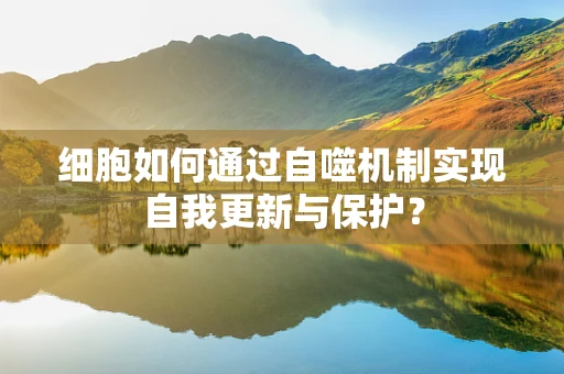 细胞如何通过自噬机制实现自我更新与保护？