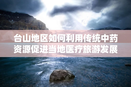 台山地区如何利用传统中药资源促进当地医疗旅游发展？