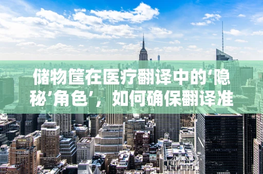 储物筐在医疗翻译中的‘隐秘’角色’，如何确保翻译准确性与安全性？