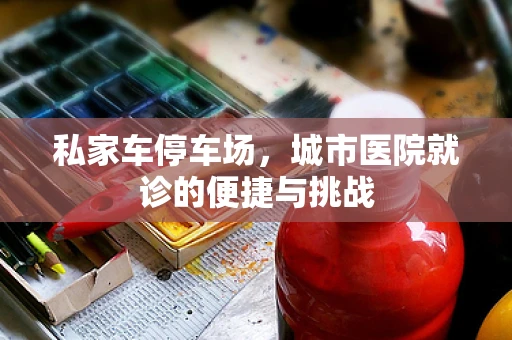 私家车停车场，城市医院就诊的便捷与挑战