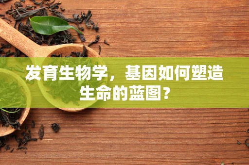 发育生物学，基因如何塑造生命的蓝图？