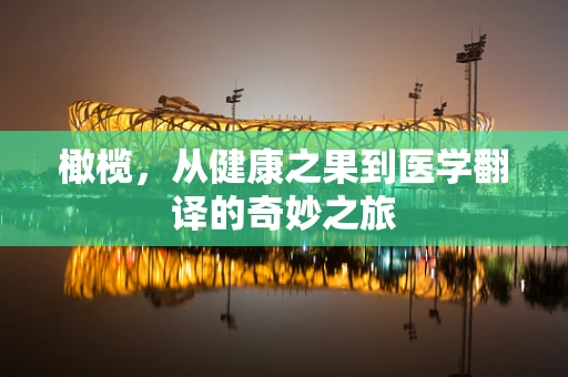 橄榄，从健康之果到医学翻译的奇妙之旅