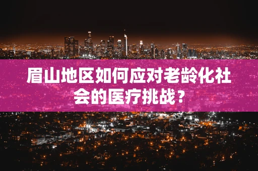 眉山地区如何应对老龄化社会的医疗挑战？