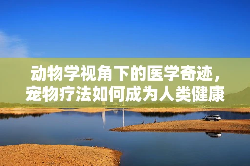 动物学视角下的医学奇迹，宠物疗法如何成为人类健康的隐形助手？