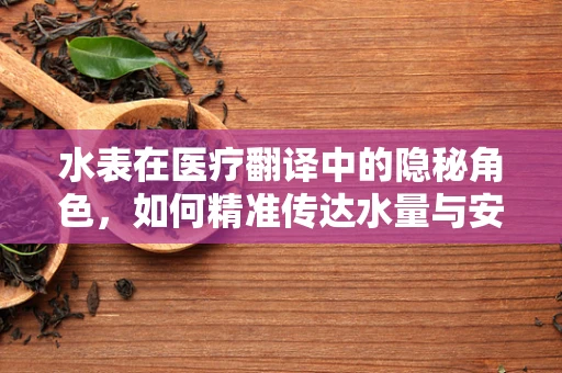 水表在医疗翻译中的隐秘角色，如何精准传达水量与安全的双重信息？