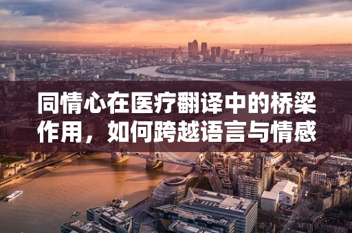 同情心在医疗翻译中的桥梁作用，如何跨越语言与情感的鸿沟？