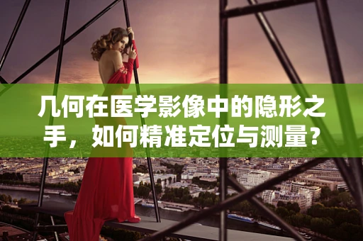 几何在医学影像中的隐形之手，如何精准定位与测量？