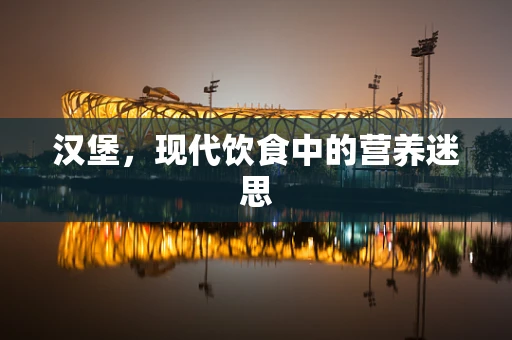 汉堡，现代饮食中的营养迷思