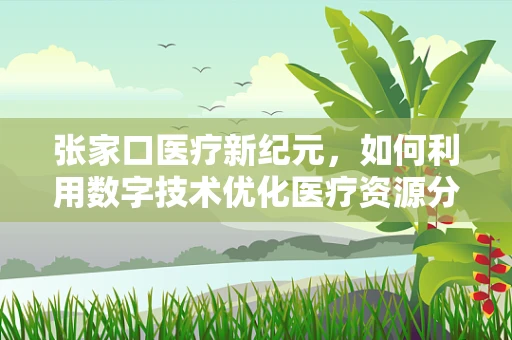 张家口医疗新纪元，如何利用数字技术优化医疗资源分配？