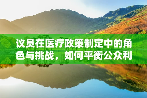 议员在医疗政策制定中的角色与挑战，如何平衡公众利益与专业意见？
