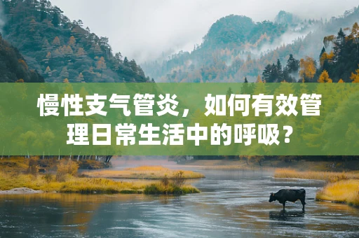 慢性支气管炎，如何有效管理日常生活中的呼吸？