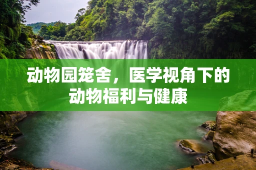 动物园笼舍，医学视角下的动物福利与健康