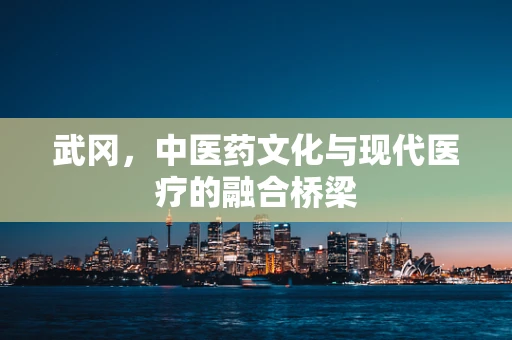 武冈，中医药文化与现代医疗的融合桥梁