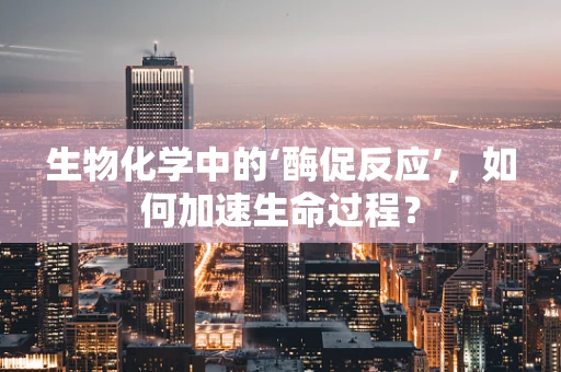 生物化学中的‘酶促反应’，如何加速生命过程？