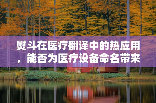 熨斗在医疗翻译中的热应用，能否为医疗设备命名带来新启示？