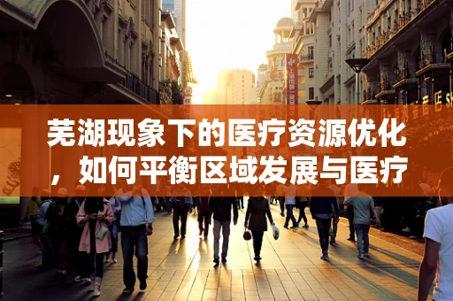 芜湖现象下的医疗资源优化，如何平衡区域发展与医疗服务质量？
