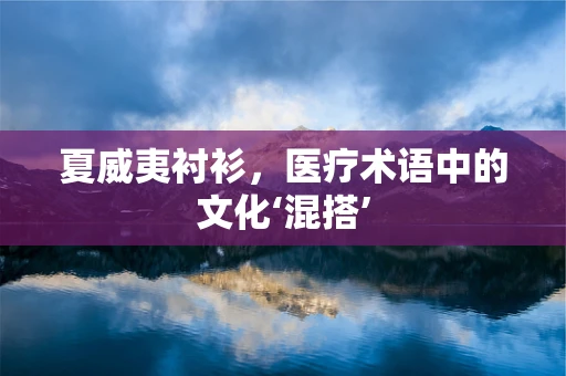 夏威夷衬衫，医疗术语中的文化‘混搭’