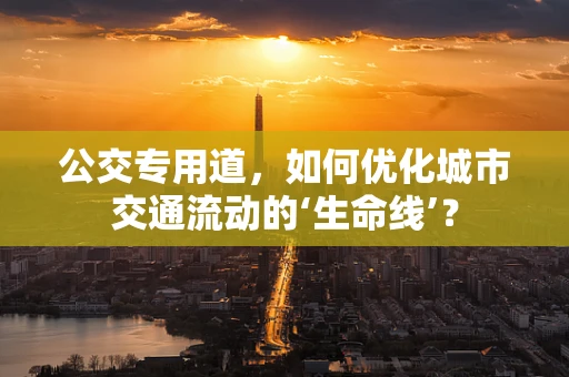 公交专用道，如何优化城市交通流动的‘生命线’？