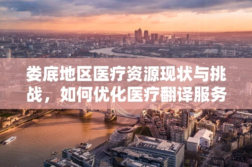 娄底地区医疗资源现状与挑战，如何优化医疗翻译服务？