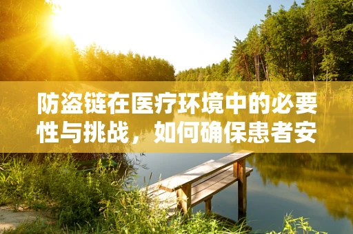 防盗链在医疗环境中的必要性与挑战，如何确保患者安全与隐私？