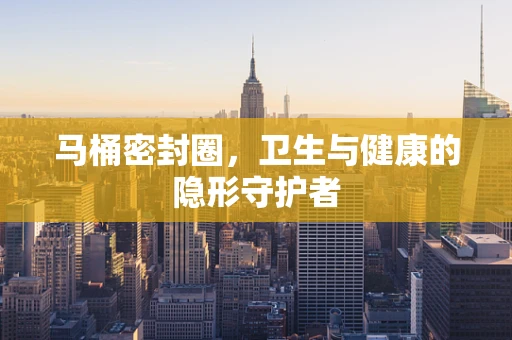 马桶密封圈，卫生与健康的隐形守护者