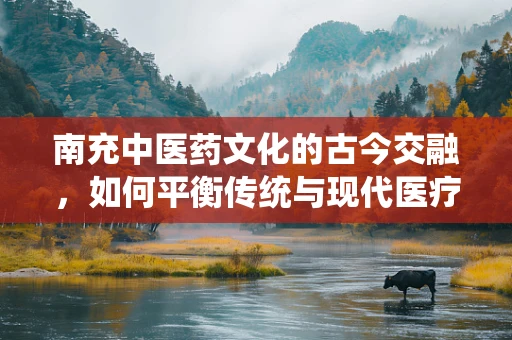 南充中医药文化的古今交融，如何平衡传统与现代医疗翻译的挑战？