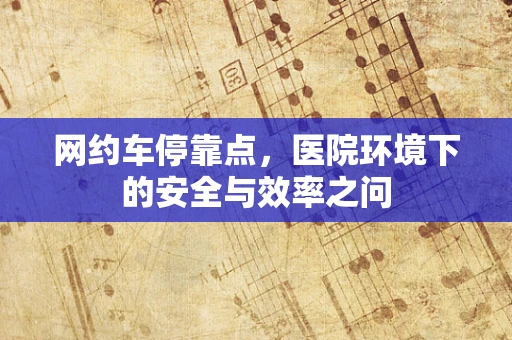 网约车停靠点，医院环境下的安全与效率之问