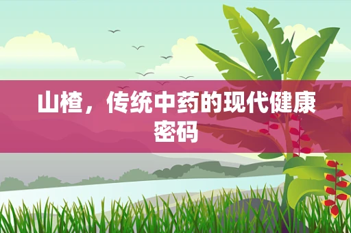 山楂，传统中药的现代健康密码