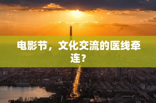 电影节，文化交流的医线牵连？