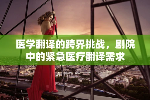 医学翻译的跨界挑战，剧院中的紧急医疗翻译需求